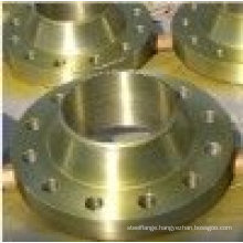 CARBON STEEL DIN FLANGES